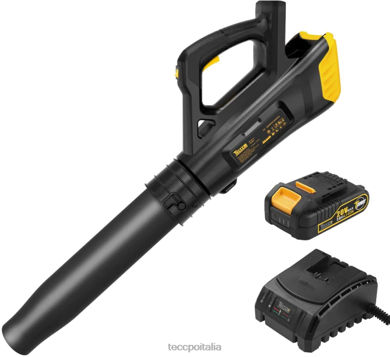 TECCPO Soffiatore per foglie a batteria 20v cura del giardino L0VNJ55