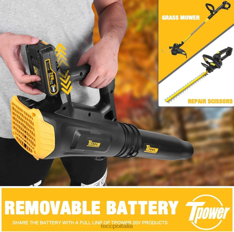 TECCPO Soffiatore per foglie a batteria 20v cura del giardino L0VNJ55