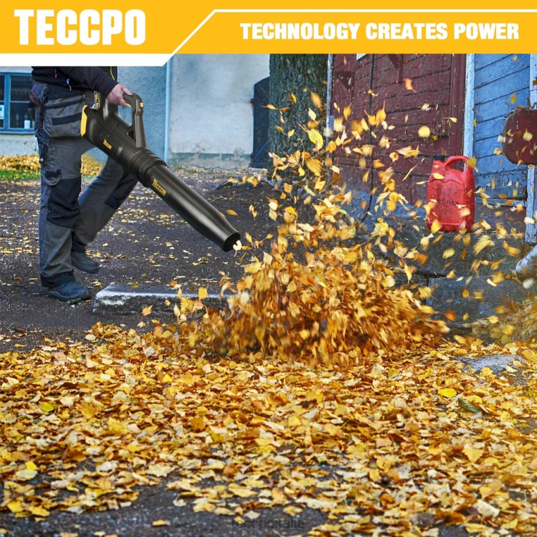 TECCPO Soffiatore per foglie a batteria 20v cura del giardino L0VNJ55