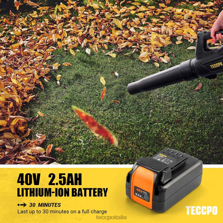 TECCPO Soffiatore per foglie senza fili 40v senza spazzole cura del giardino L0VNJ58