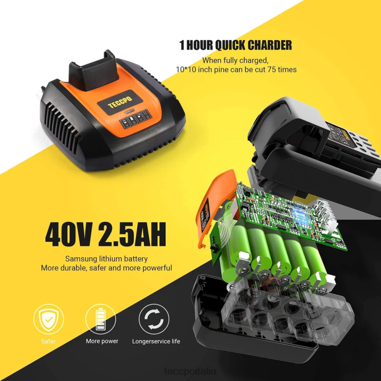 TECCPO motosega a batteria cura del giardino L0VNJ29